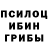 Галлюциногенные грибы прущие грибы Edward Fedorov