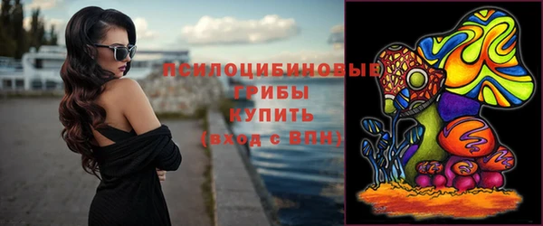 сатива Белоозёрский