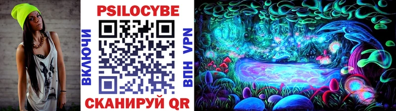 Галлюциногенные грибы прущие грибы закладка Малаховка