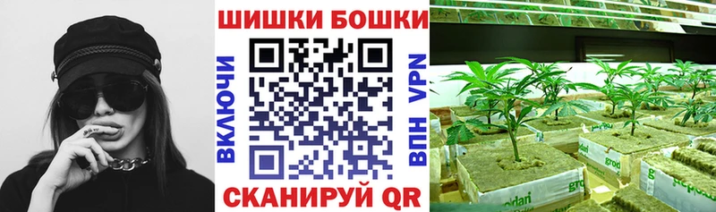Бошки Шишки планчик Малаховка